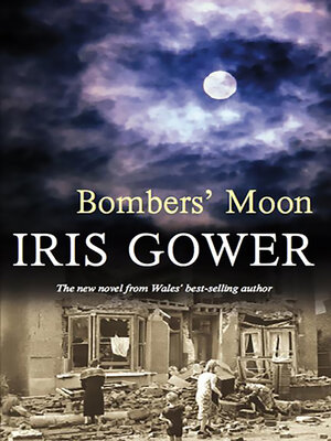 cover image of Bombers' Moon
